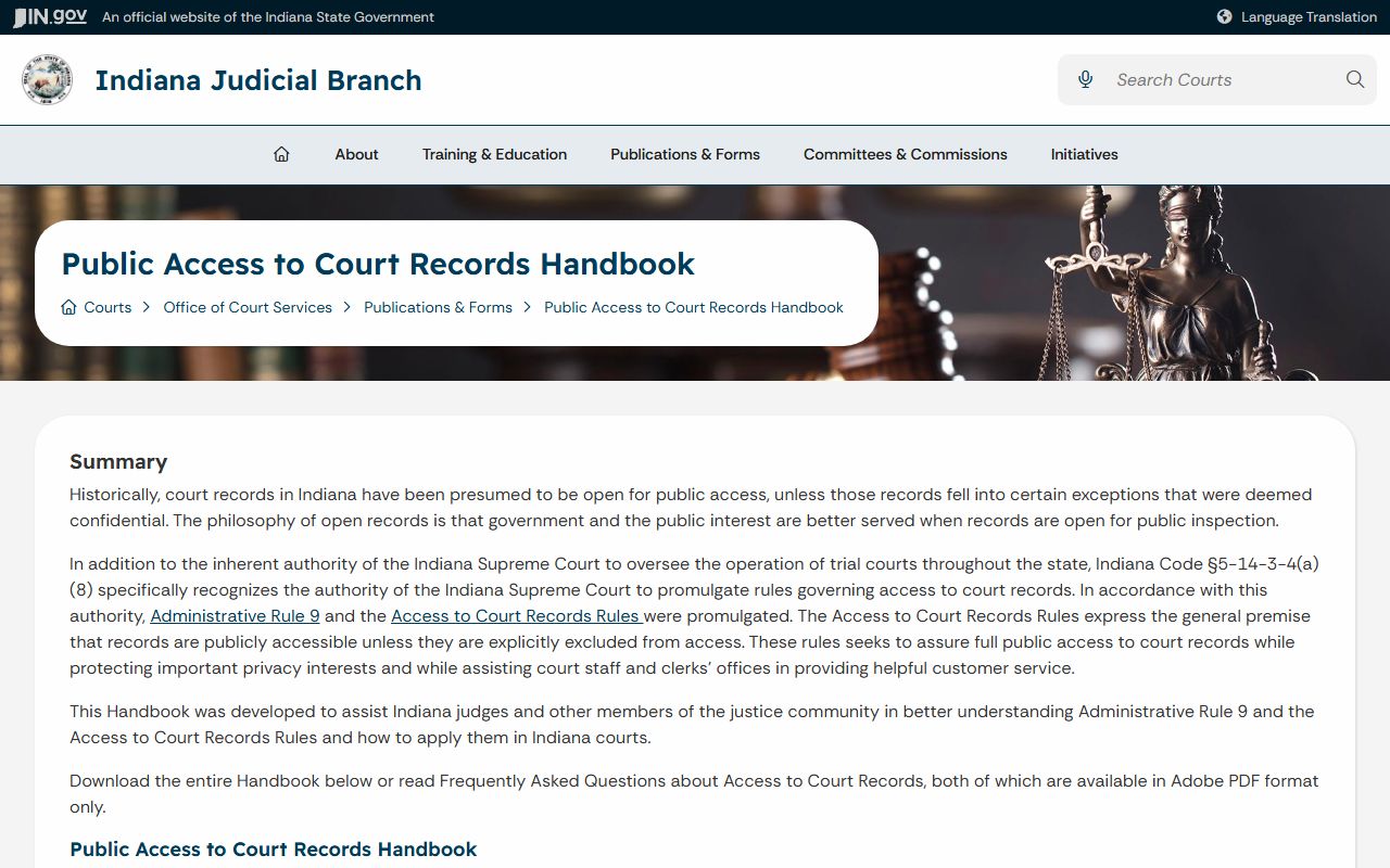 Clinton County court dockets public access handbook